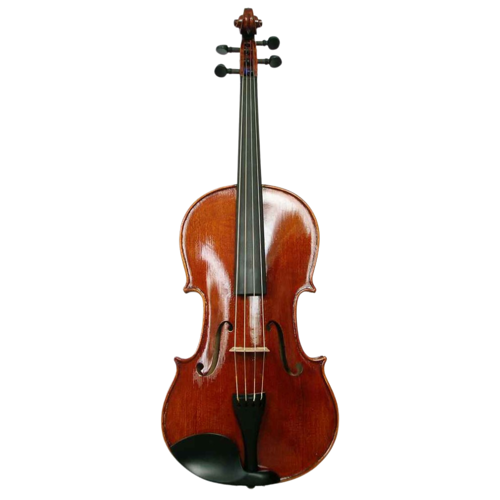 Viola